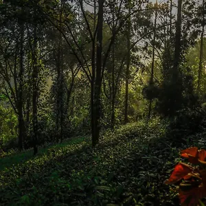***** Resort Southern Panorama Indriya & India